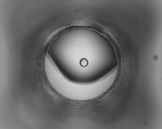 X0000112801304200909111226