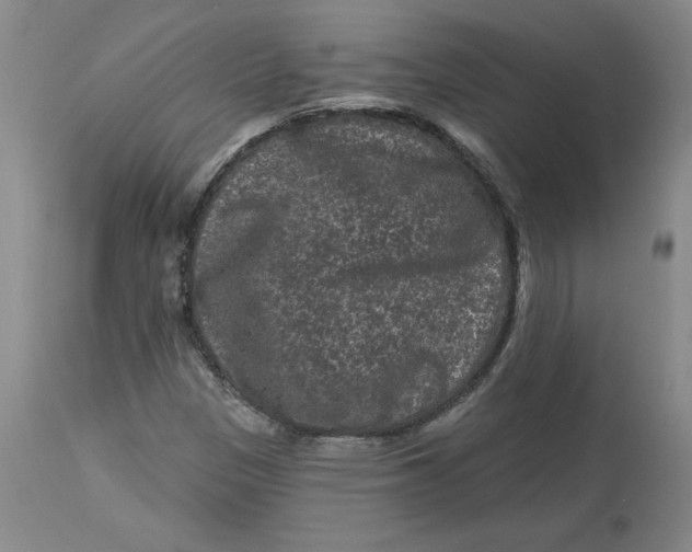 X0000112801305200909111226