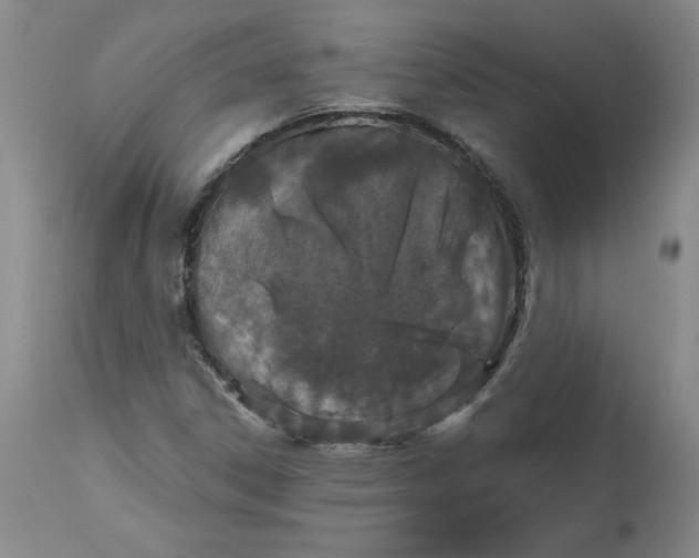 X0000112801306200909111226