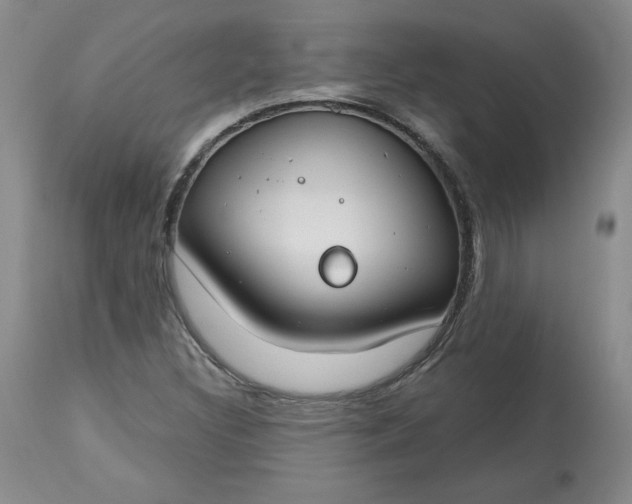 X0000112801308200909111226