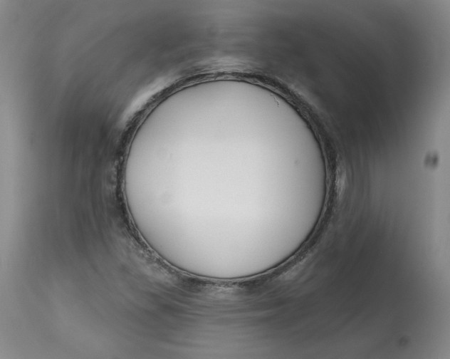 X0000112801309200909111226