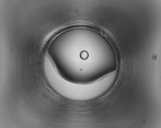 X0000112801310200909111226