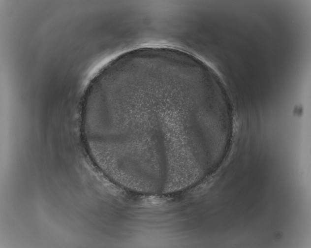 X0000112801311200909111226