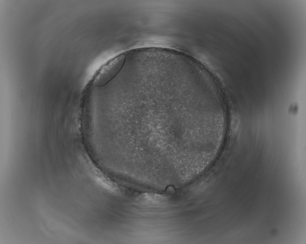 X0000112801312200909111226