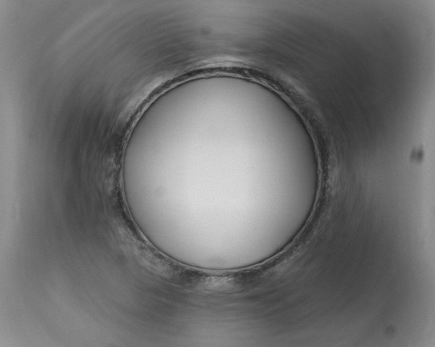 X0000112801313200909111226