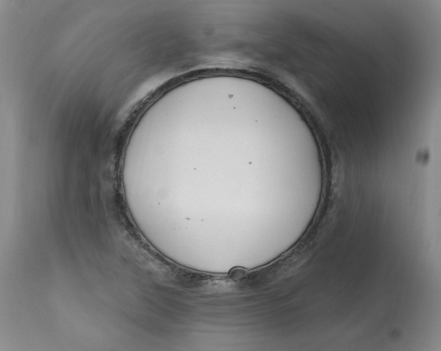 X0000112801315200909111226