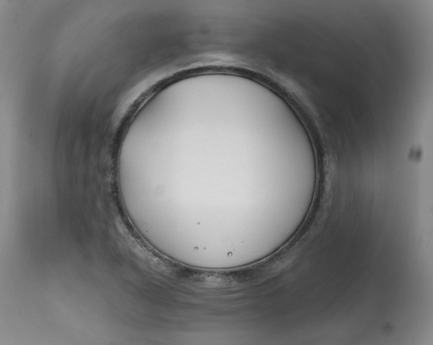 X0000112801318200909111226