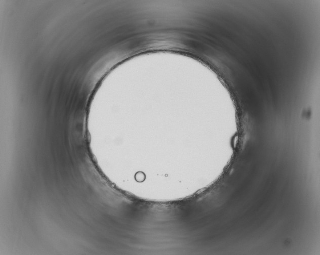 X0000112801322200909111226