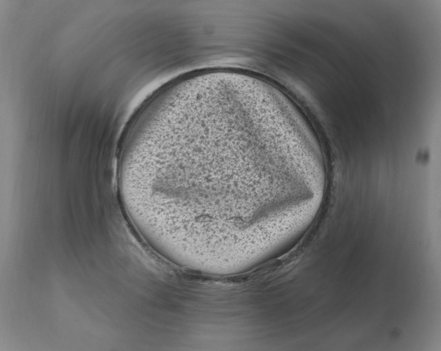 X0000112801324200909111226