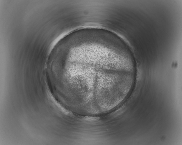 X0000112801325200909111226