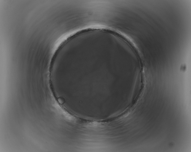 X0000112801327200909111226