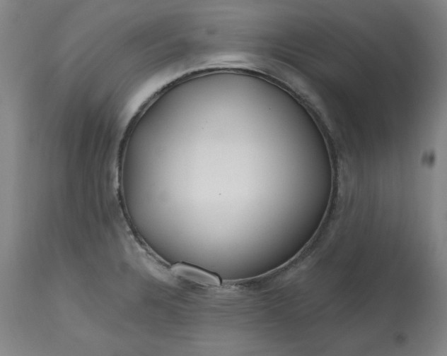 X0000112801328200909111226