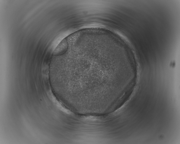 X0000112801329200909111226