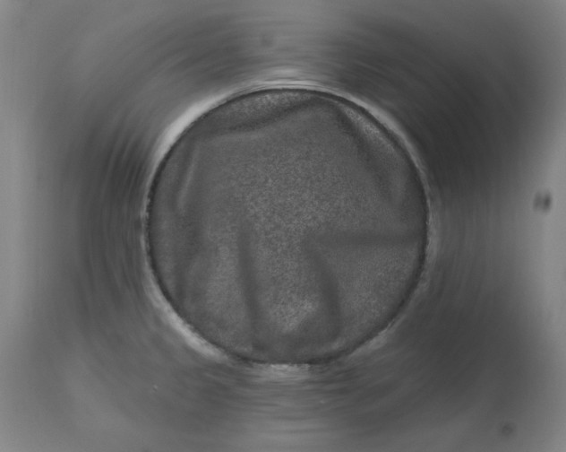 X0000112801333200909111226