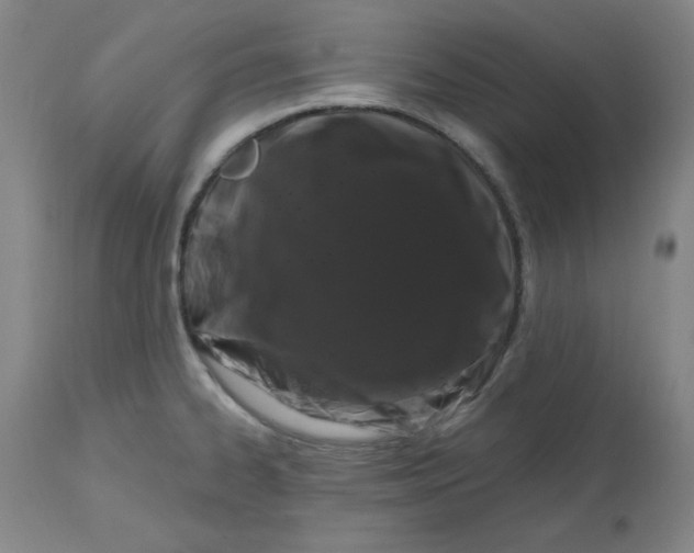 X0000112801334200909111226