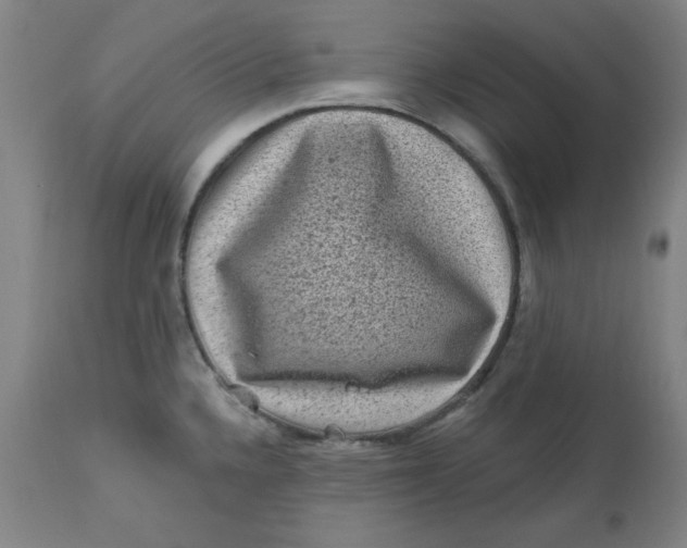 X0000112801336200909111226