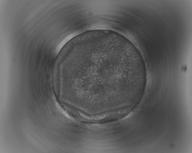 X0000112801337200909111226