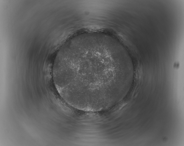 X0000112801346200909111226