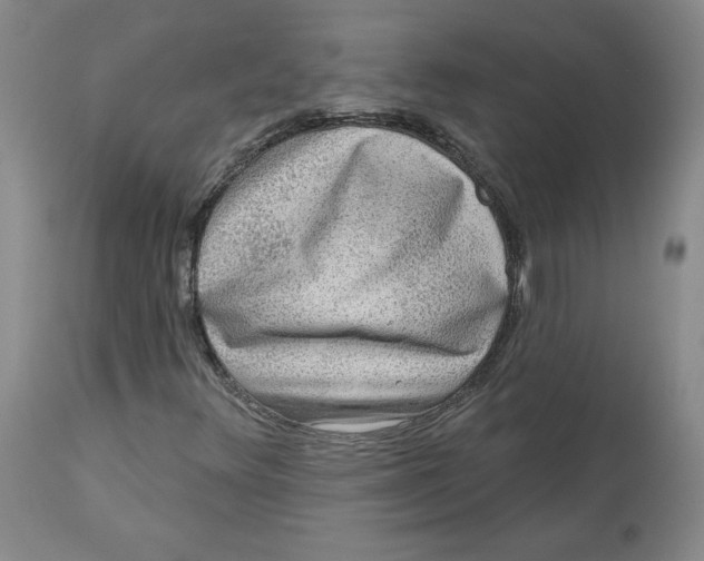 X0000112801348200909111226