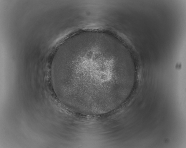 X0000112801350200909111226