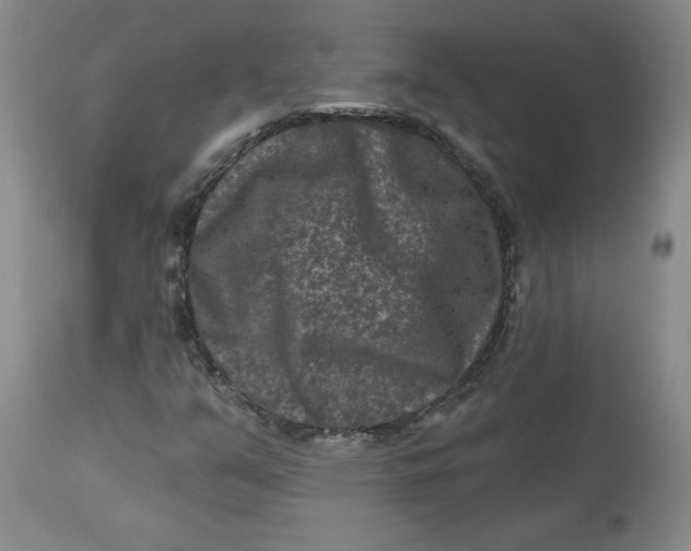 X0000112801351200909111226