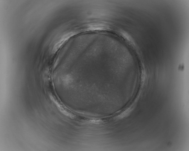 X0000112801353200909111226