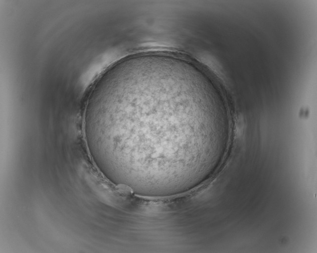 X0000112801357200909111226