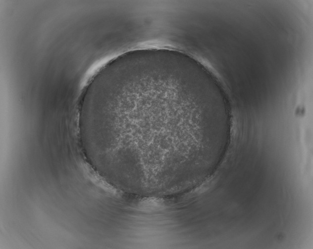 X0000112801358200909111226