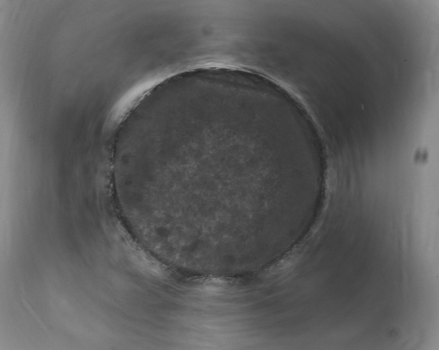 X0000112801359200909111226