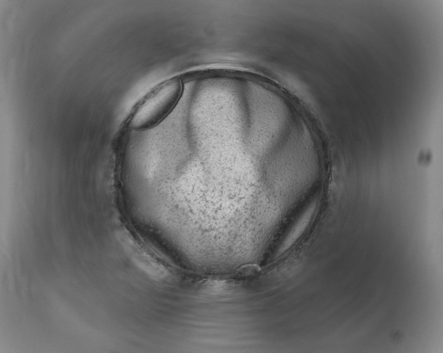 X0000112801360200909111226