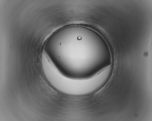 X0000112801361200909111226