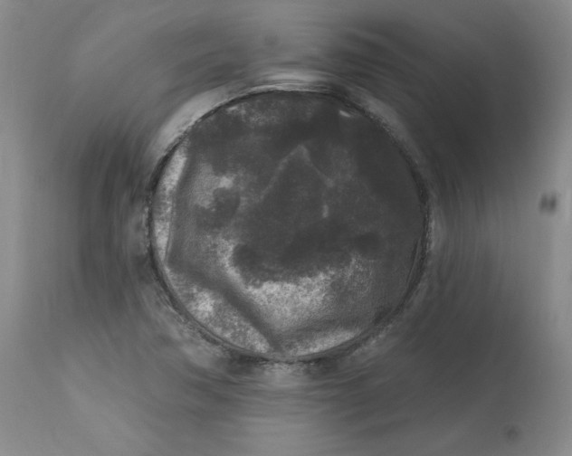 X0000112801362200909111226