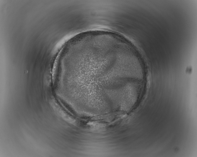 X0000112801363200909111226