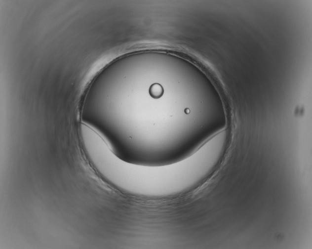 X0000112801365200909111226