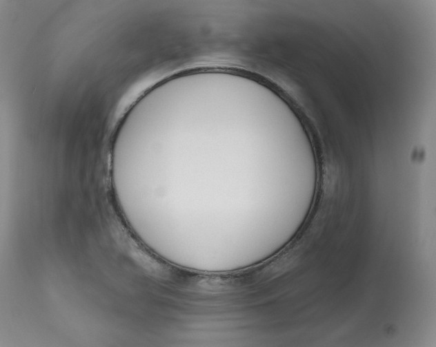 X0000112801366200909111226