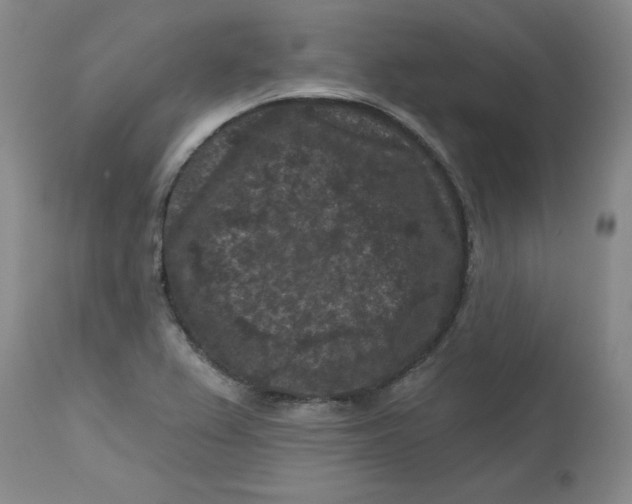 X0000112801367200909111226