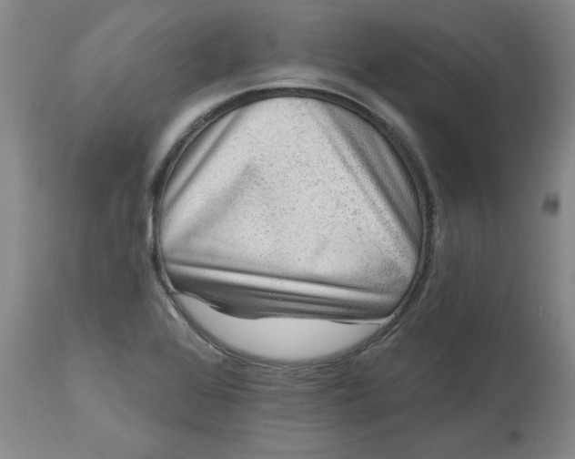 X0000112801368200909111226