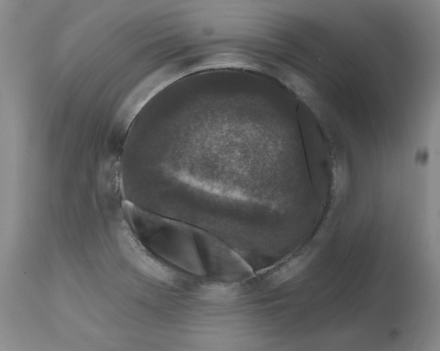 X0000112801369200909111225