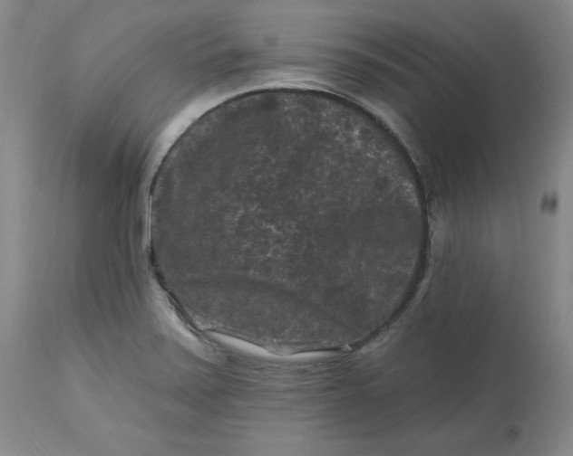 X0000112801371200909111225