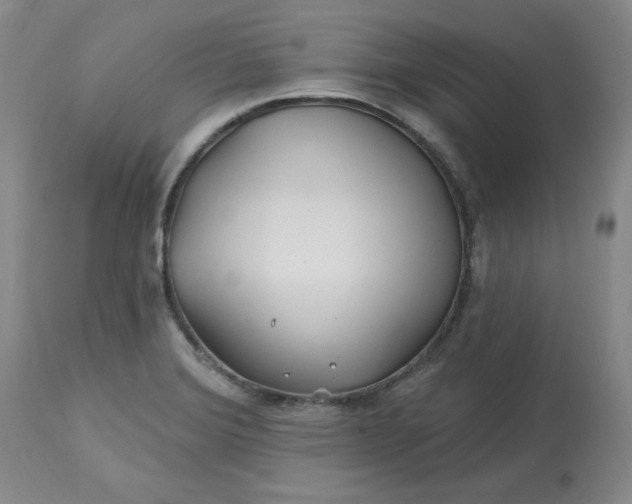 X0000112801372200909111225