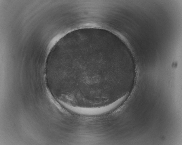 X0000112801373200909111225