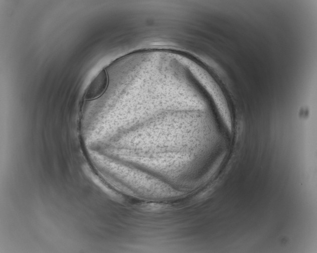 X0000112801374200909111225