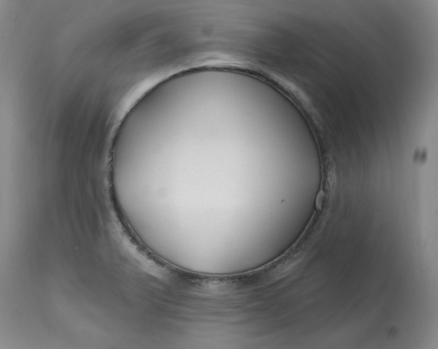 X0000112801375200909111225