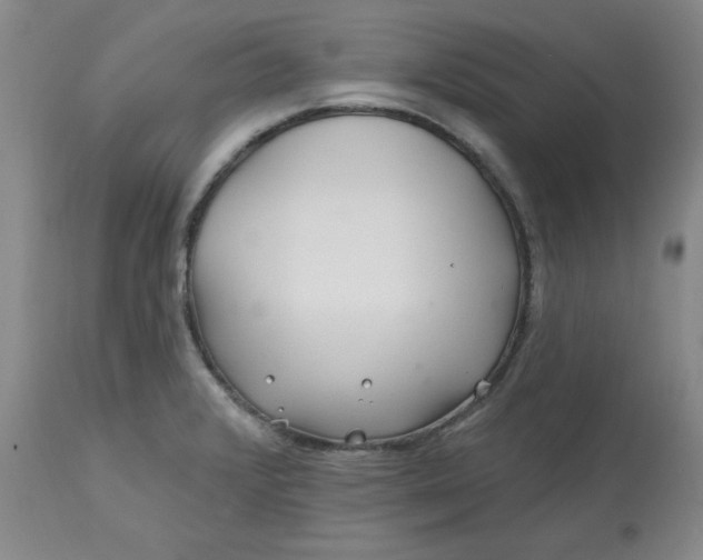 X0000112801376200909111225