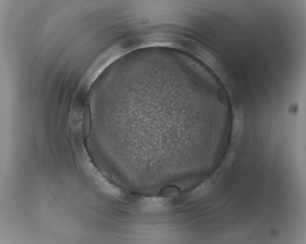 X0000112801377200909111225