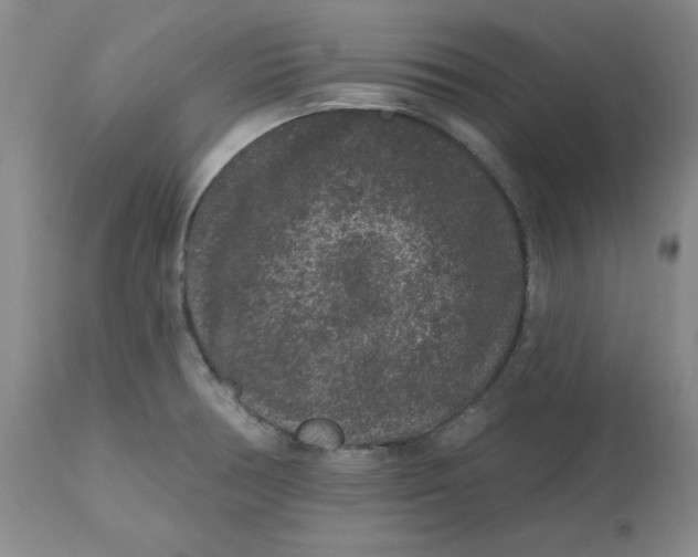 X0000112801378200909111225