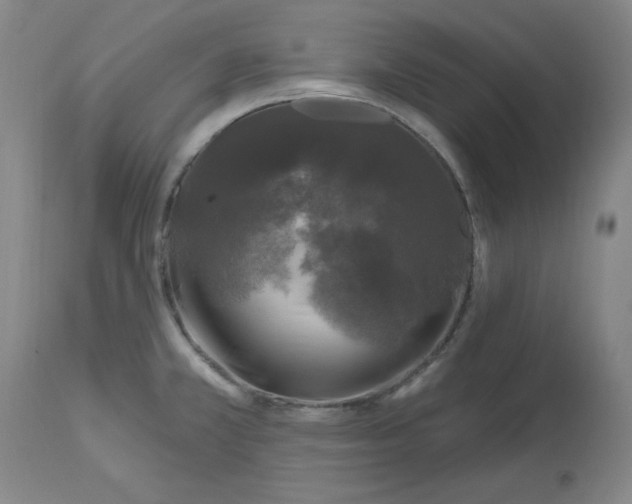 X0000112801381200909111225