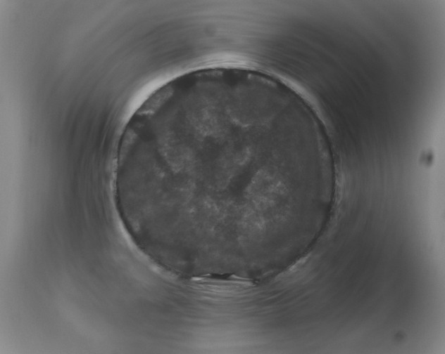 X0000112801383200909111225