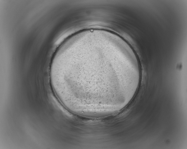 X0000112801384200909111225