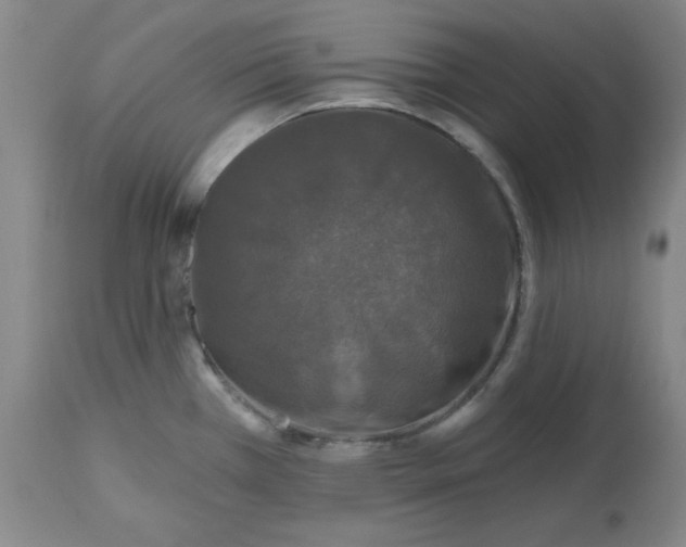 X0000112801385200909111225